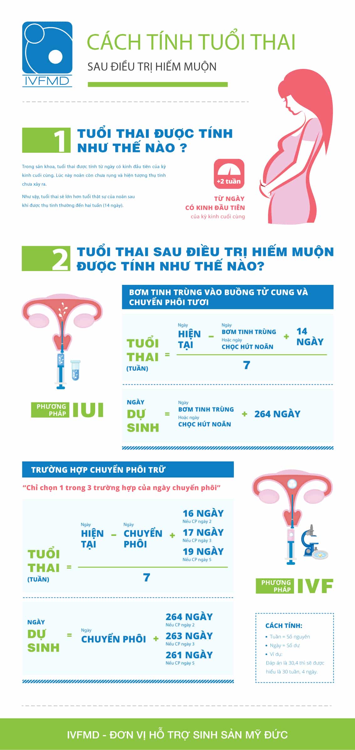 Cách Tính Tuổi Thai IVF: Hướng Dẫn Chi Tiết và Phân Tích Chuyên Sâu